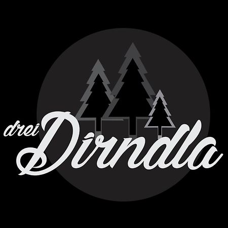 Drei Dirndla Apartment Schladming Ngoại thất bức ảnh